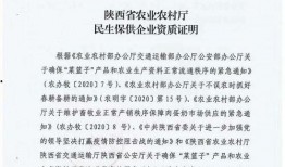 面粉厂爆料最新疫情报告,揭秘病毒传播链与防控措施