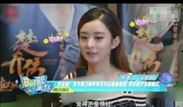 赵丽颖林更新最新爆料,揭秘幕后故事与甜蜜瞬间