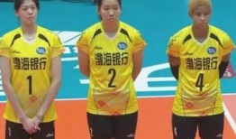 天津女排爆料视频最新版,备战新赛季的幕后故事