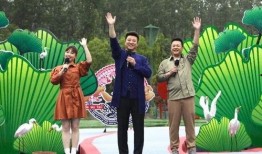 哈佛教授爆料视频大全最新,最新爆料视频大全深度解析